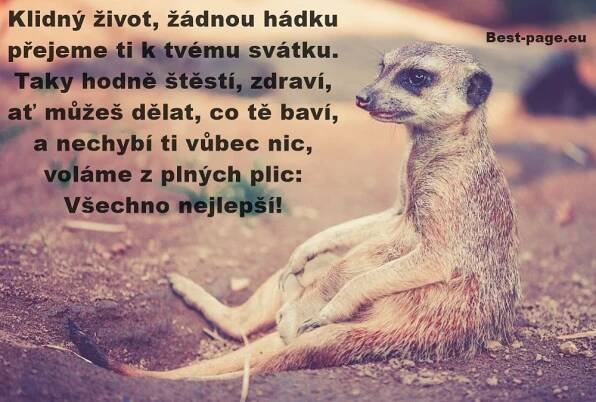 Klidný život, žádnou hádku... Přání k svátku pro muže