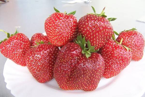 Jahody 1kg