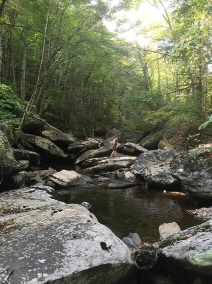 Fish Blue Ridge: Big Wilson Creek - Visit Smyth County