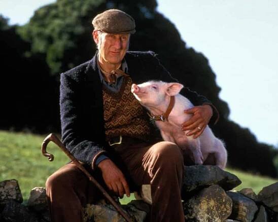 James Cromwell On Making Babe, The Talking Pig Classic - Dick King-Smith