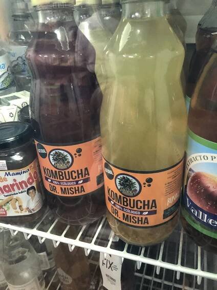 Interview with Founders of Lima, Peru Kombucha, Misha Restrera - Kombucha Network
