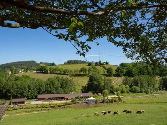 Farmapark Soběhrdy zvířata