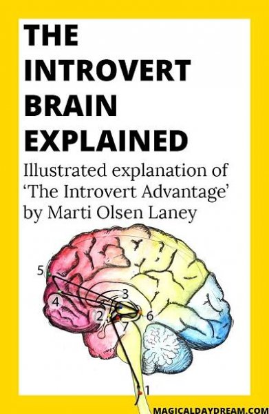 The introvert brain explained - Magical Daydream | illustrated explanation of the book 'The introvert advantage' by Marti Olsen Laney, includes explanation of introvert research and neurotransmitters, chemical pathways. Click to read entire post en see all illustrations: it includes tips for introverts and understanding how to survive in an extravert world.
