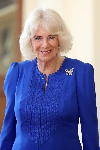 a woman wearing a blue jacket with a butterfly brooch