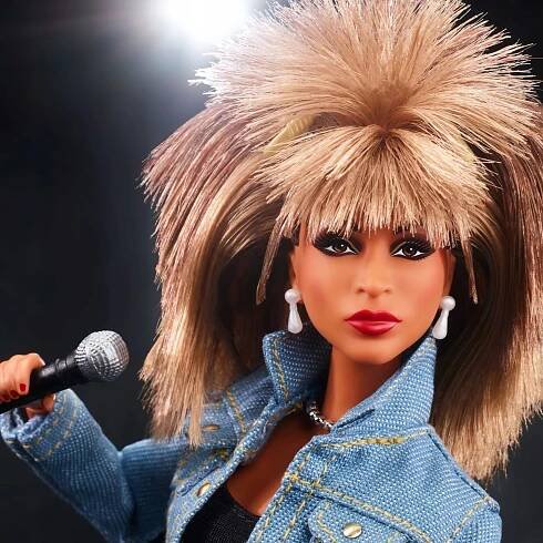 Barbie Signature Music Series Tina Turner | Aukro