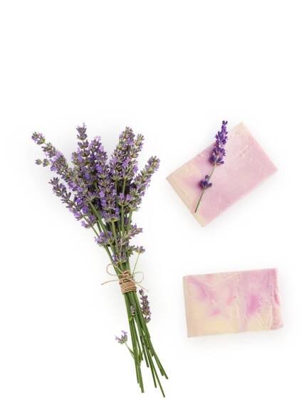 Lavender and purple stained pieces of paper for Virtual Wellness Activities