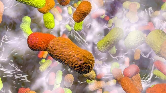 Multidrug resistant bacteria. Biofilm of bacteria Acinetobacter baumannii, the common causative agent of hospital-acquired infections 3D illustration