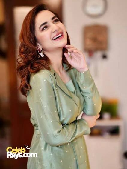 Yumna Zaidi souce of income