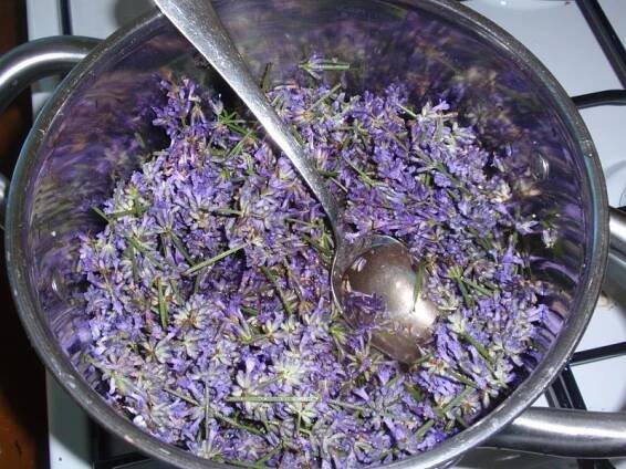 Levandulový sirup - recept | Homemade wine recipes, How to dry basil, Homemade wine