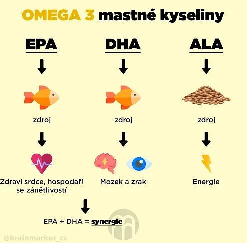 omega_3_infografika_brainmarket_CZ