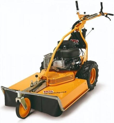 AS Motor AS 65 4T B&S