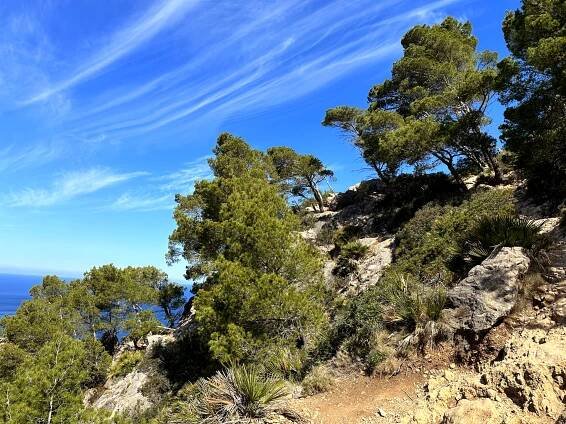 Přechod Mallorky aneb trek GR221 - KRÁSNÁ DOBRODRUŽSTVÍ