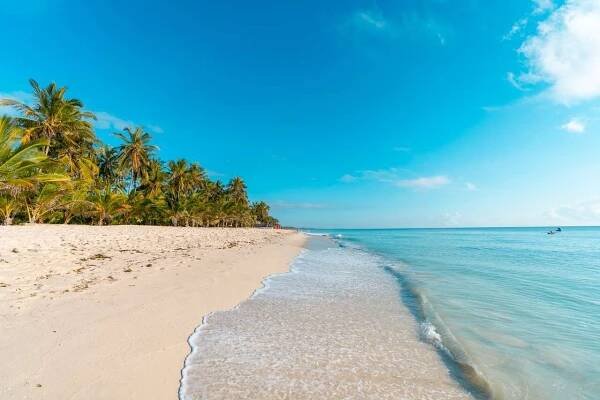 diani-mombasa-kenya-travel-photo-20220114113727289-main-image.jpg