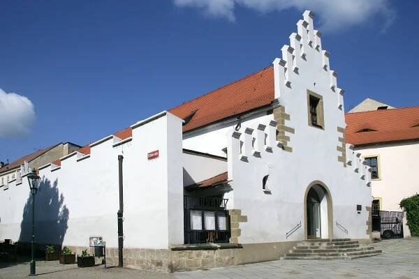Druhou českou institucí zařazenou do proslulé anglické edice Director's Choice je Západočeská galerie v Plzni