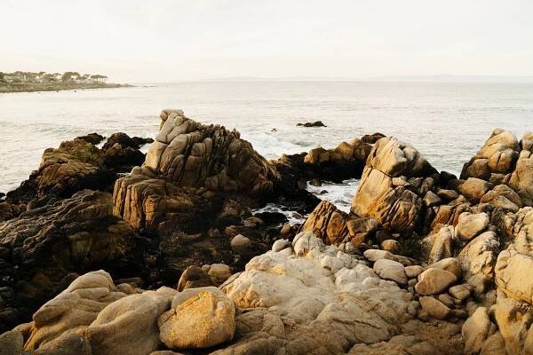 Scuba Dive, Snorkel, & Surf at Lover's Point Park, Monterey · Anna Tee