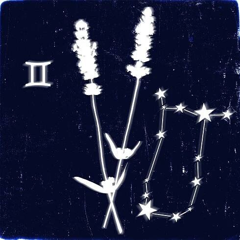 Gemini Daily Horoscope