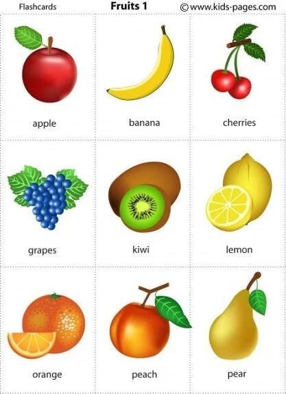 printable flashcards in lots and lots of categories | Printable flash cards, Flashcards for kids, Flashcards