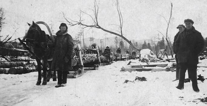 Darované housle - Moderní československé dějiny - 2. světová válka a holocaust - JSNS