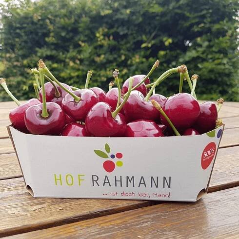Hof Rahmann » Kirschen