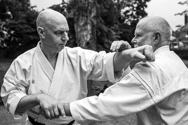 bunkai — Blog - Martial Arts Meanderings... — Don Came Karate - For Life!