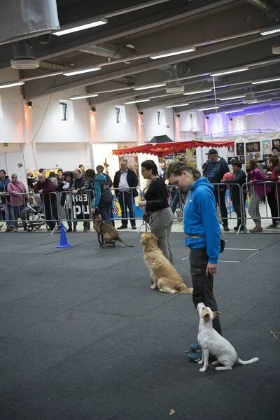 petsphv-21 - Polizeihundeverein Hochstift Paderborn e.V.