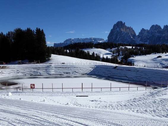 Snow reliability Alpe di Siusi (Seiser Alm) – snow-reliable Alpe di Siusi (Seiser Alm)