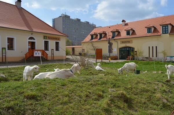 Hostel Ubytovna Toulcův dvůr foto 1