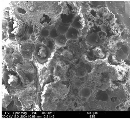 Fig. 10. A secondary electron image of glass sample (6) showing dirty layers, soil deposits and encrustations on the glass surface appeared to be inhomogeneous and strongly adhered to the glass surface and pitted areas. 