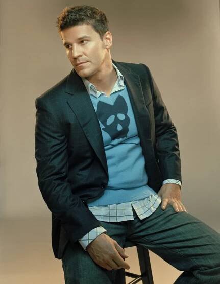 David Boreanaz fotka