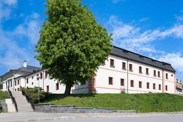 Historie města je spjata se vznikem žďárského kláštera založeného Bočkem z Obřan v polovině 13. století, do té doby je téměř celé území česko-moravské hranice pokryté pomezním pralesem.