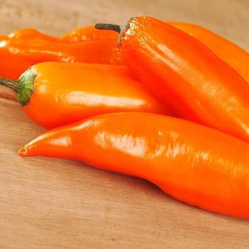 Bright orange aji chiles close up.
