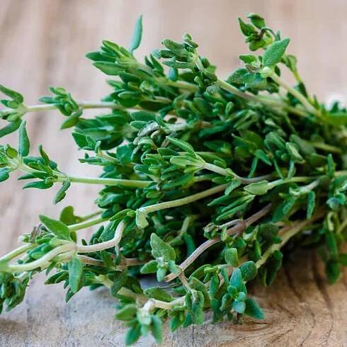 Thyme Benefits for Your Throat, Heart and Mood