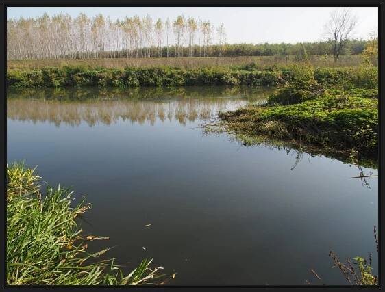 Jevišovka