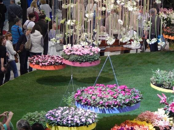 FLORA Olomouc 2014 - Obrázok č. 23