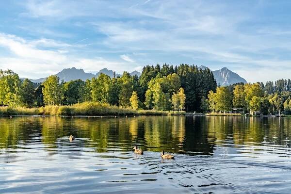 Schwarzsee Herbst 2018-02614