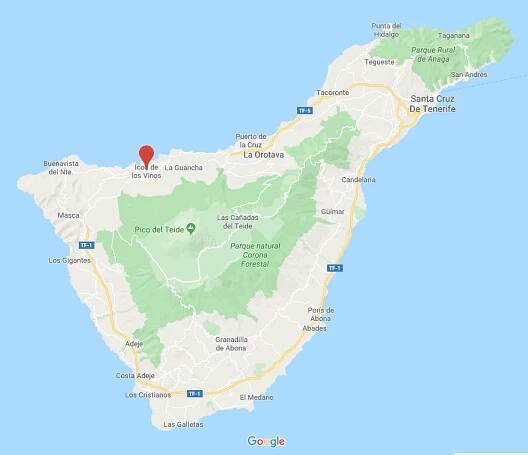 Dračí strom Icod de los Vinos – živý symbol Tenerife – Co vidět? Průvodce.