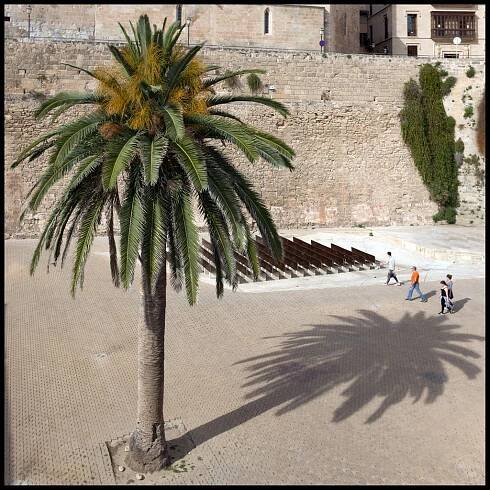 John Joseph Dolan - Palma 2016