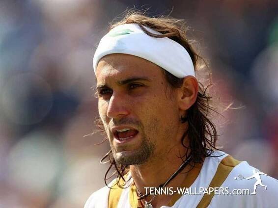 David Ferrer