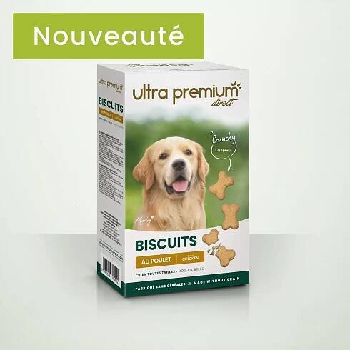 Biscuit pour chien