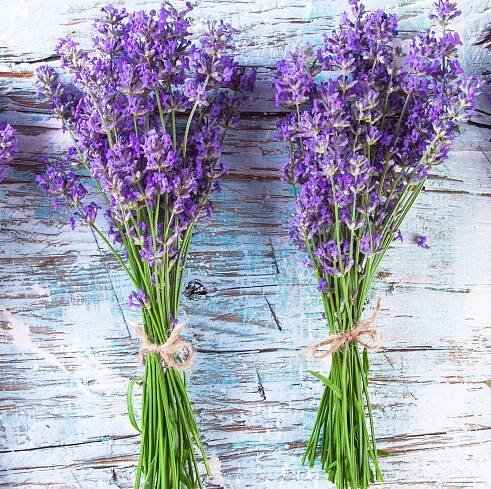 30 Great Ways to Use Lavender In the Home