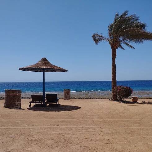 ECOTEL DAHAB BAY VIEW RESORT - Updated 2025 Prices & Hotel Reviews (Egypt)
