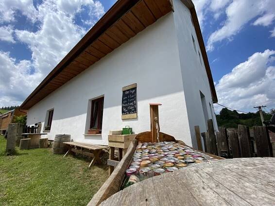Obsluž se a zchlaď sám. V Borovné lidé narazí na unikátní bar vydlabaný do smrku
