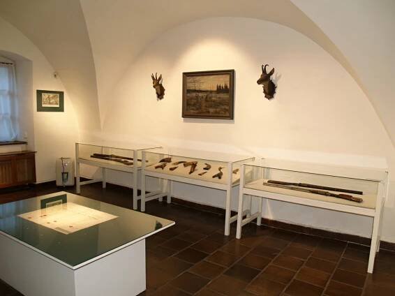 Výstavy | Prachatické Muzeum