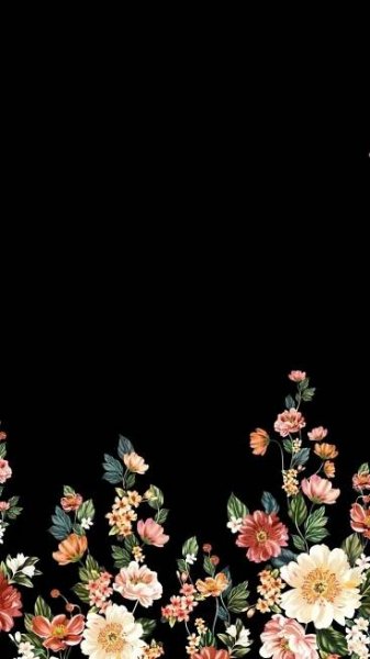 Pin by nathali on No Name | Floral wallpaper phone, Iphone wallpaper cat, Phone wallpaper images
