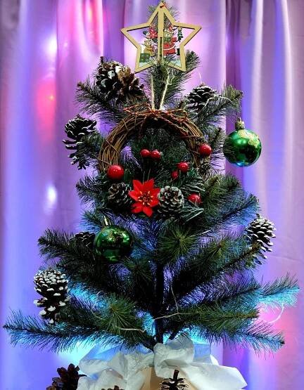 Download free HD stock image of Christmas Tree Holiday