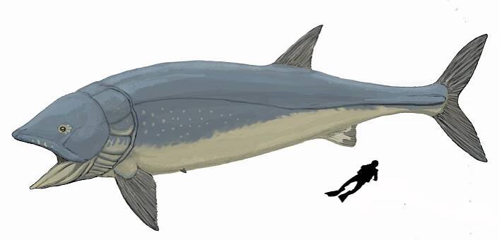 Soubor:Leedsichthys problematicus.jpg – Wikipedie