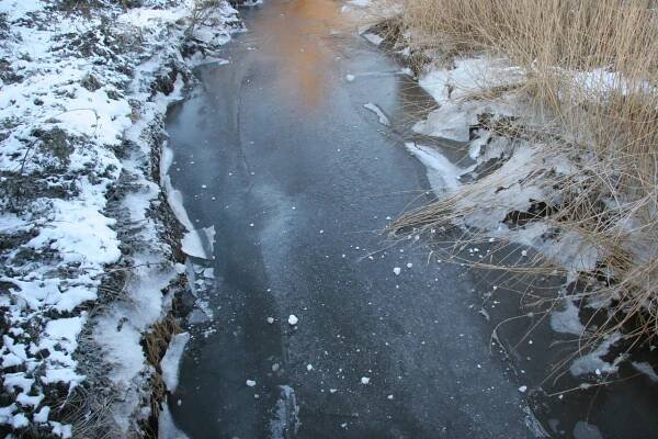 The Sun in Winter Lays Low — Mo Sandford