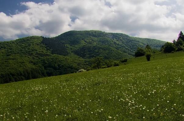 Hrubá Zliezajňa