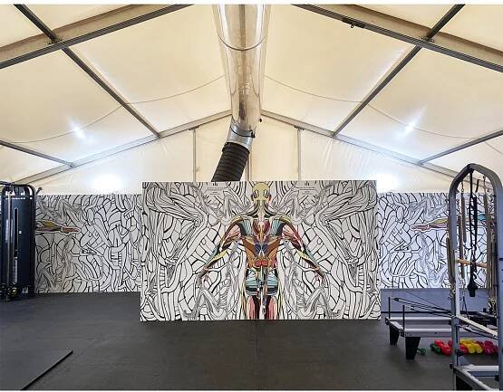 Murals