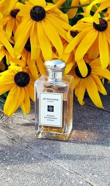 Mimosa & Cardamom Jo Malone London pro ženy a muže